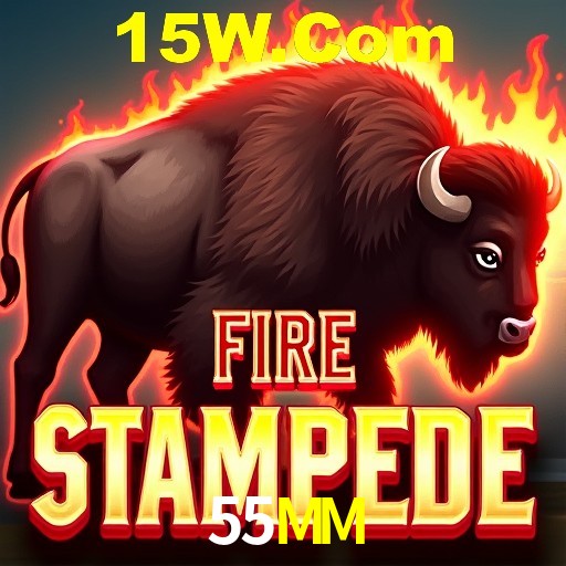 Descubra a Essência do 55MM: Nossa História e Compromissos